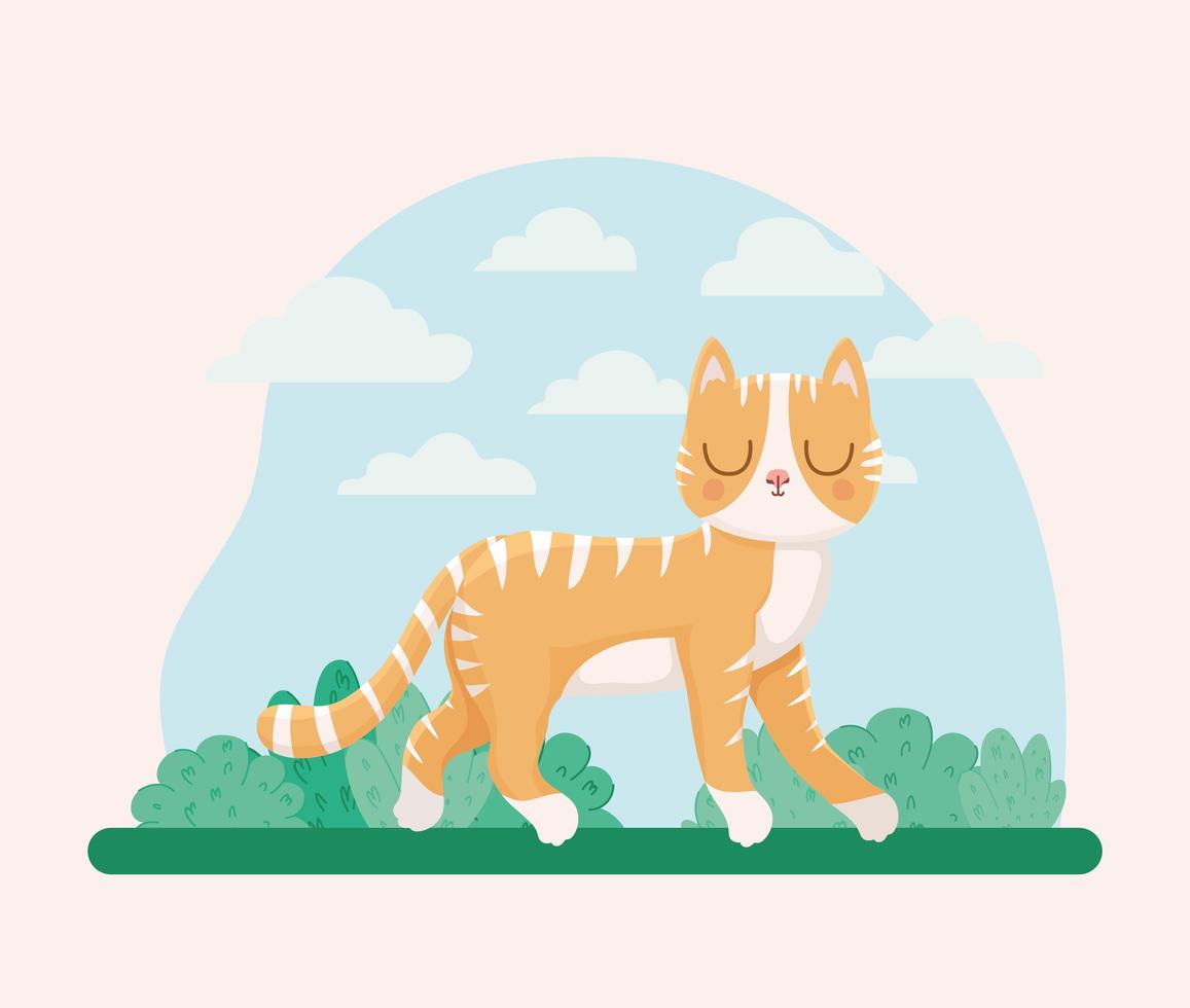 kitten and bushes vector