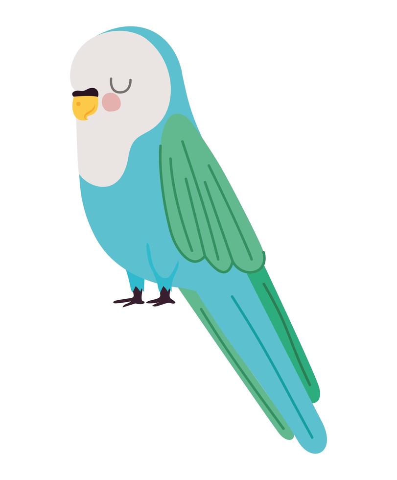 pretty parakeet design vector