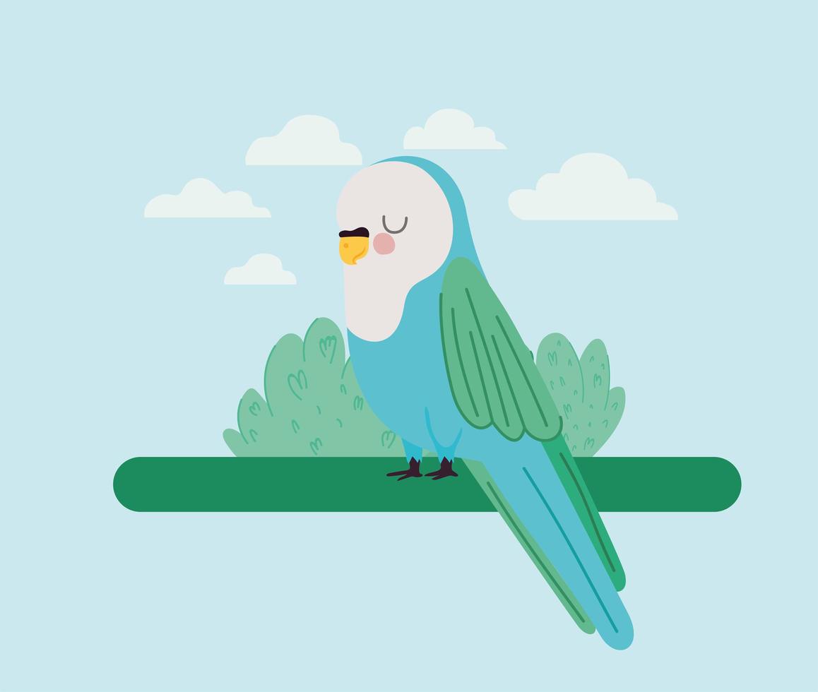 pretty parakeet illustration vector