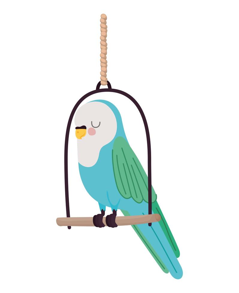 parakeet over swing vector