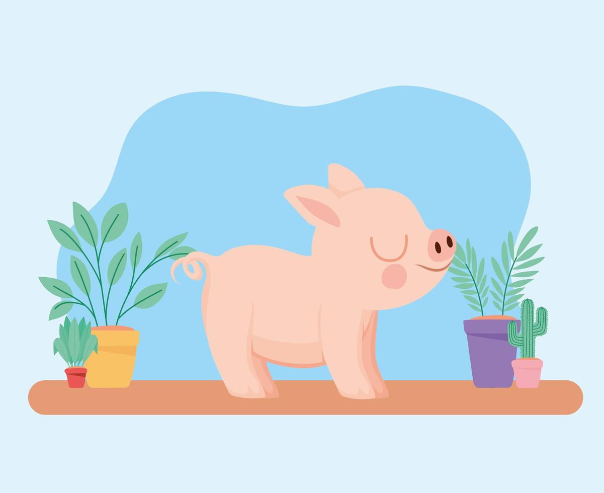 bonita representación de cerdito vector