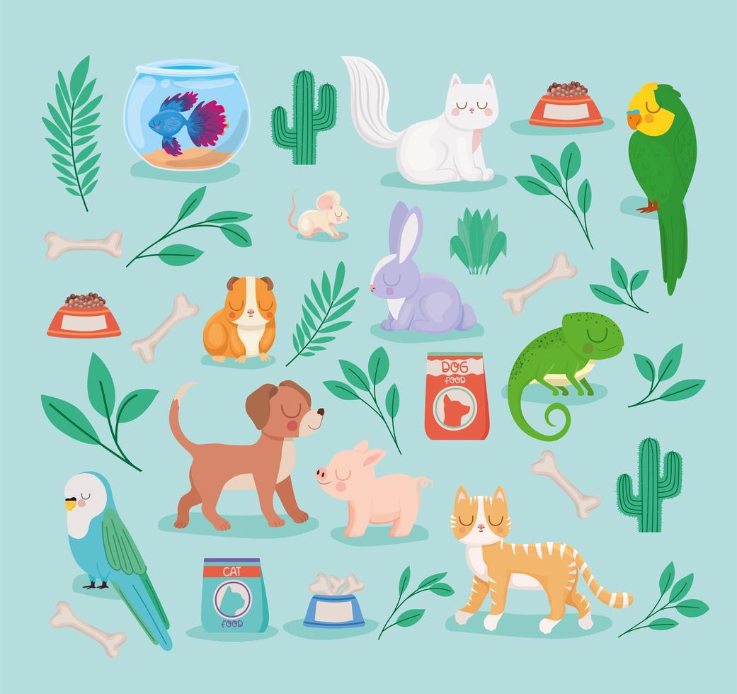 pets and plants vector