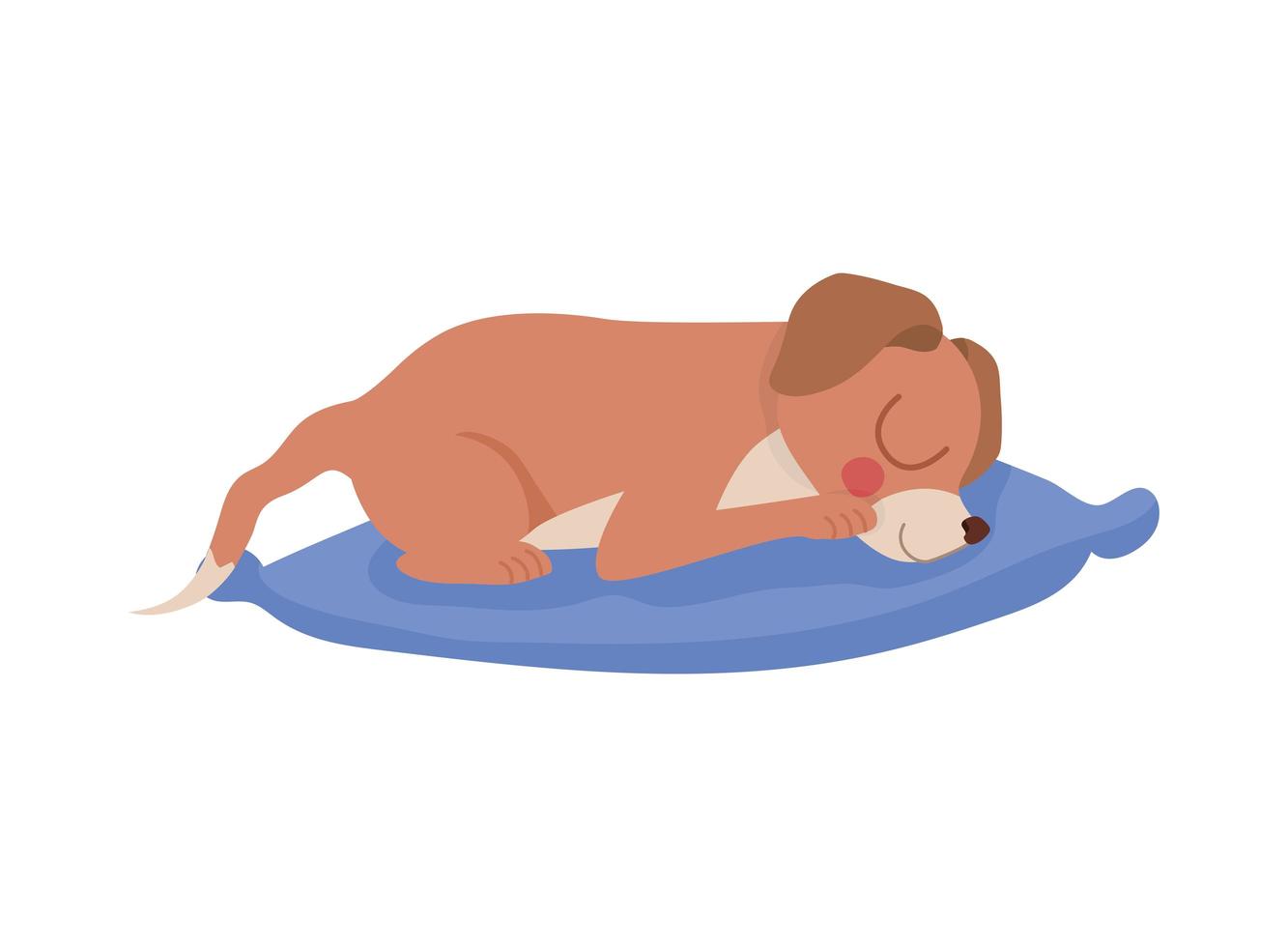 pretty puppy resting vector