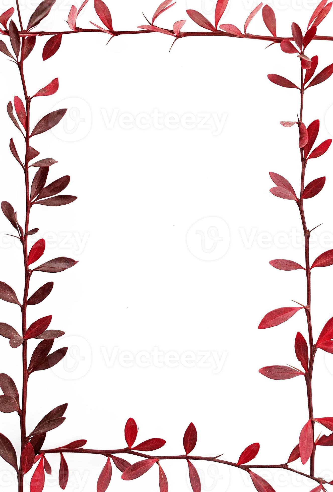portada de banner con marco floral de plantas foto