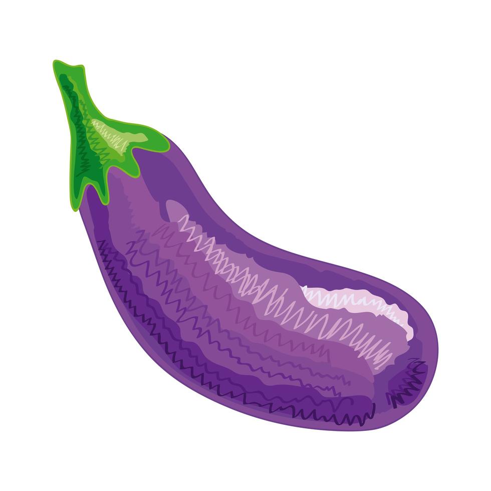 eggplant vegetable healthy vector