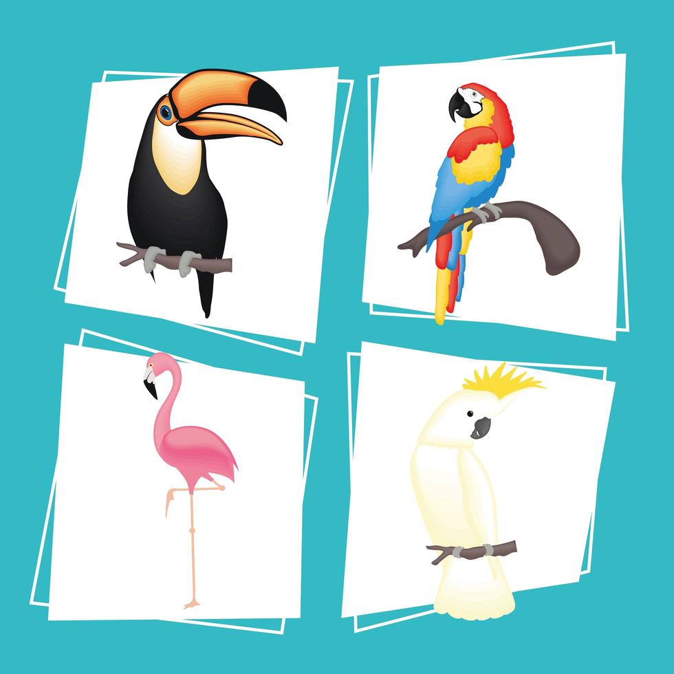 Cute birds cartoons set vector