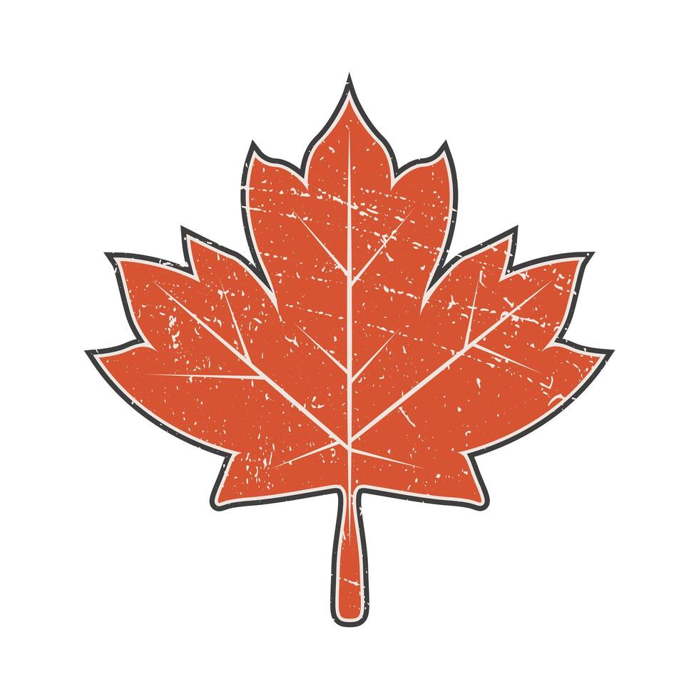 maple leaf red vector