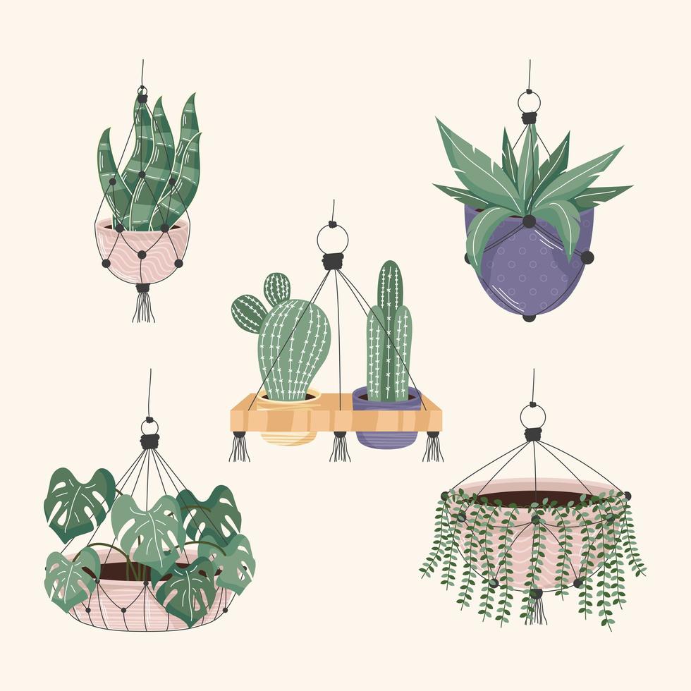 five macrame hangers vector