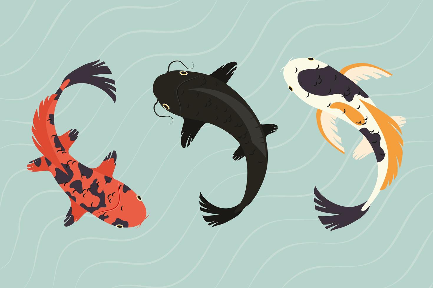 koi fishes collection vector