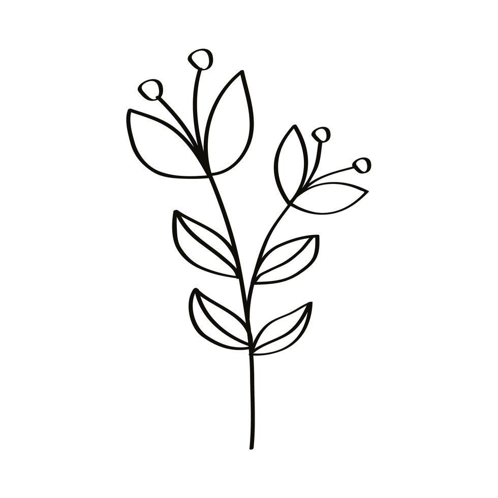 sketch nature flowers vector