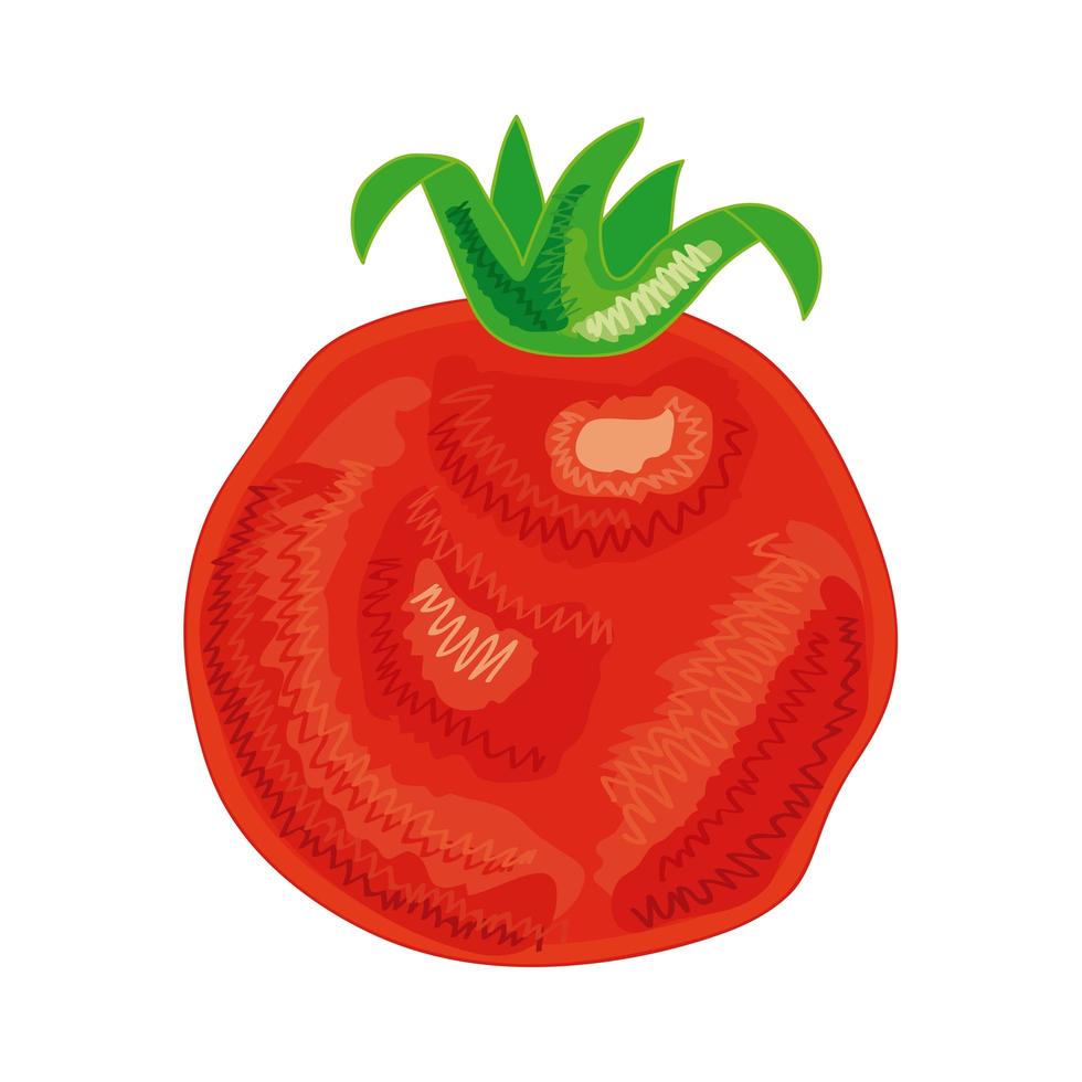 tomate vegetal saludable vector