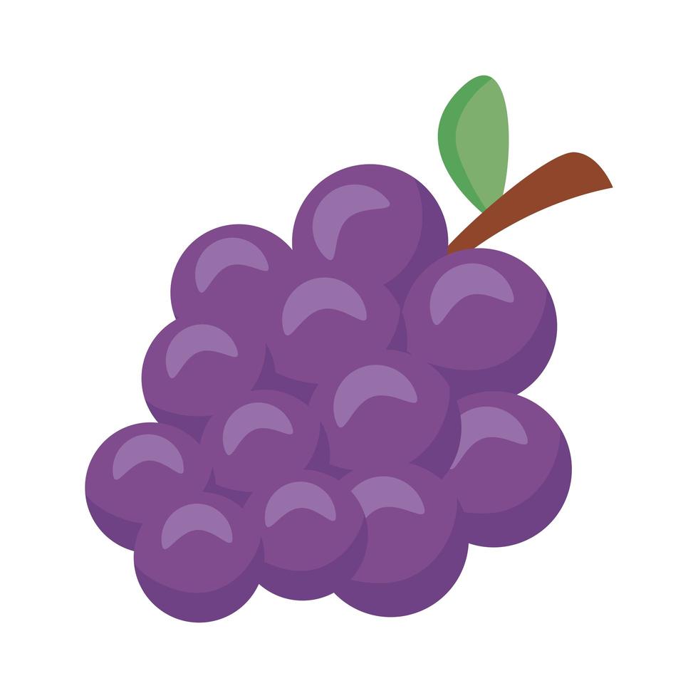 grapes fresh fruits vector
