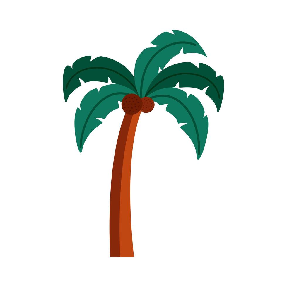 tree palm nature vector