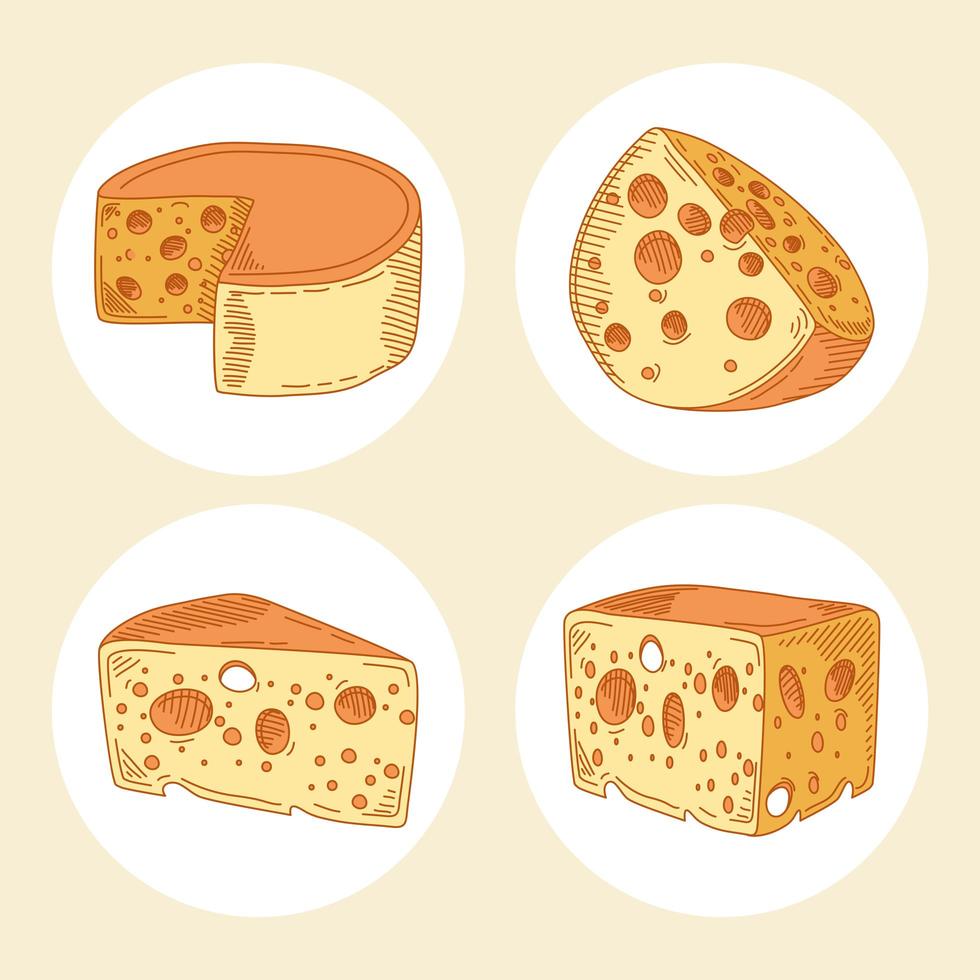four delicious cheeses vector