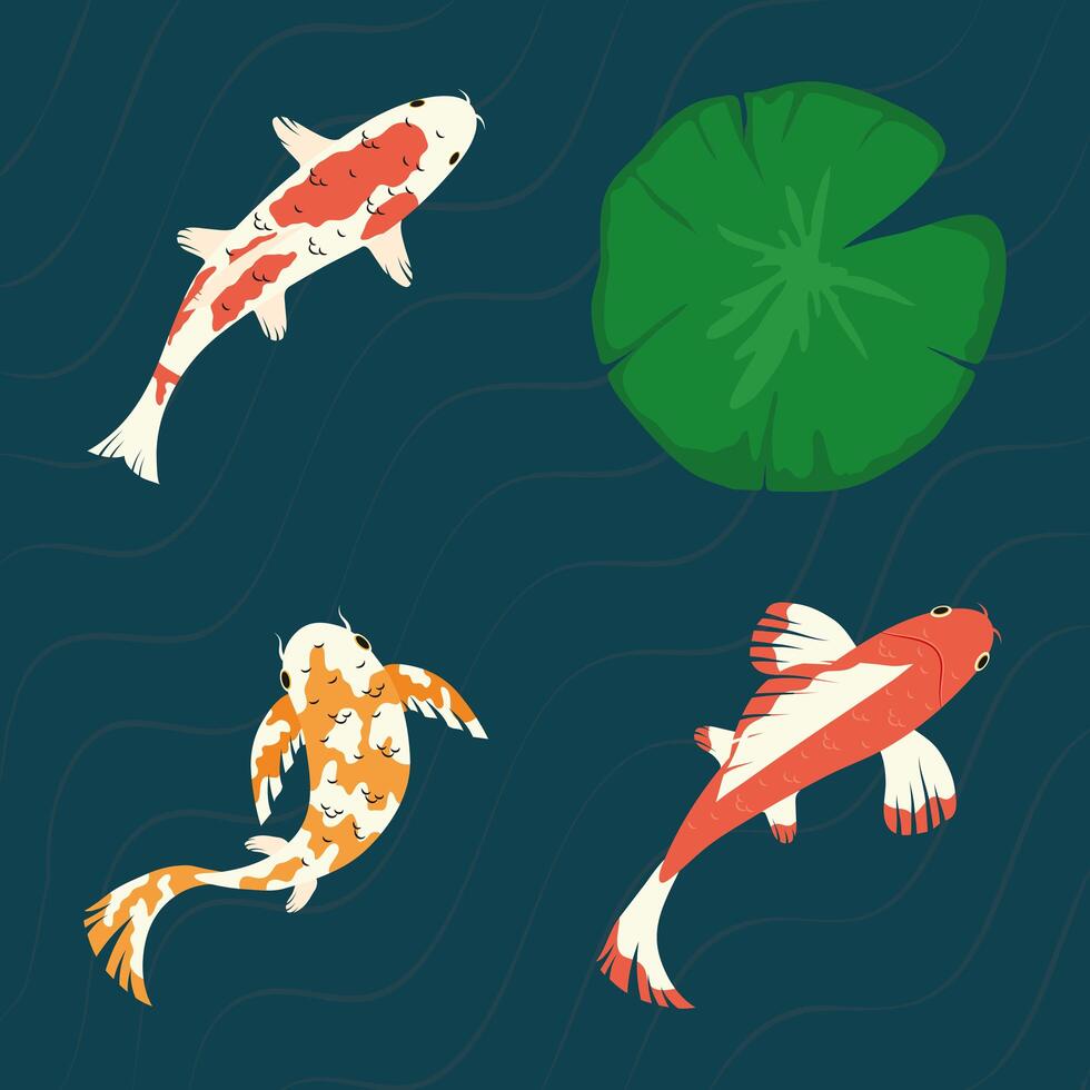 koi fishes with lotus leaf vector