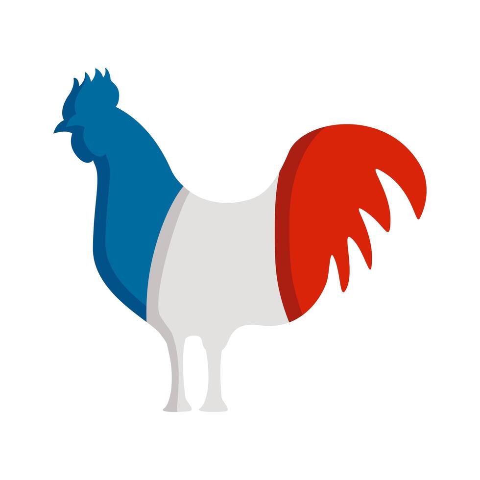 gallo de bandera de francia vector