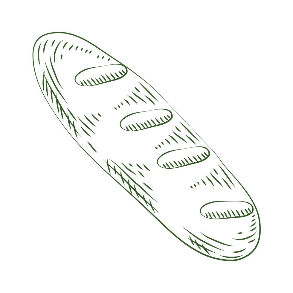 fresh bread sketch vector