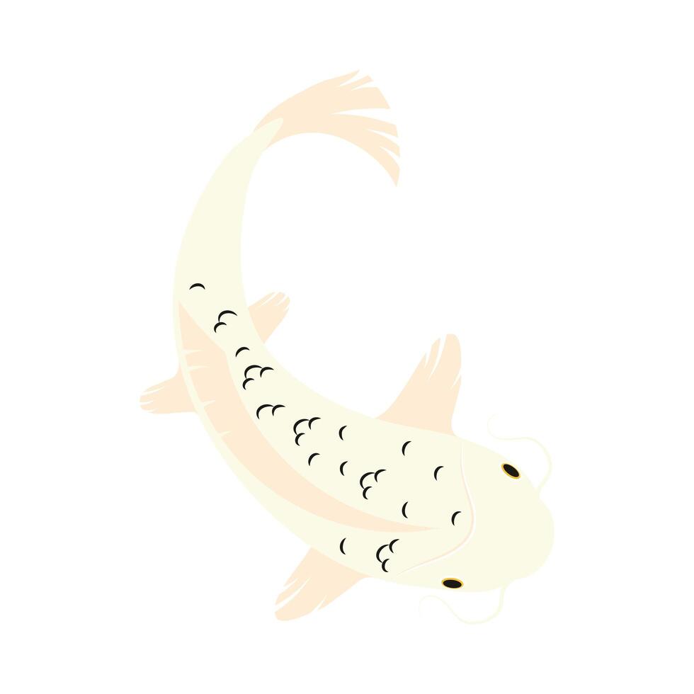 pez koi blanco vector