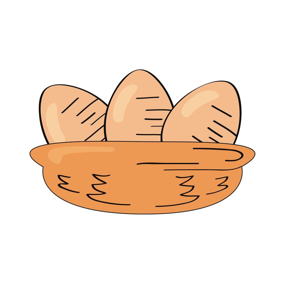 eggs in straw vector