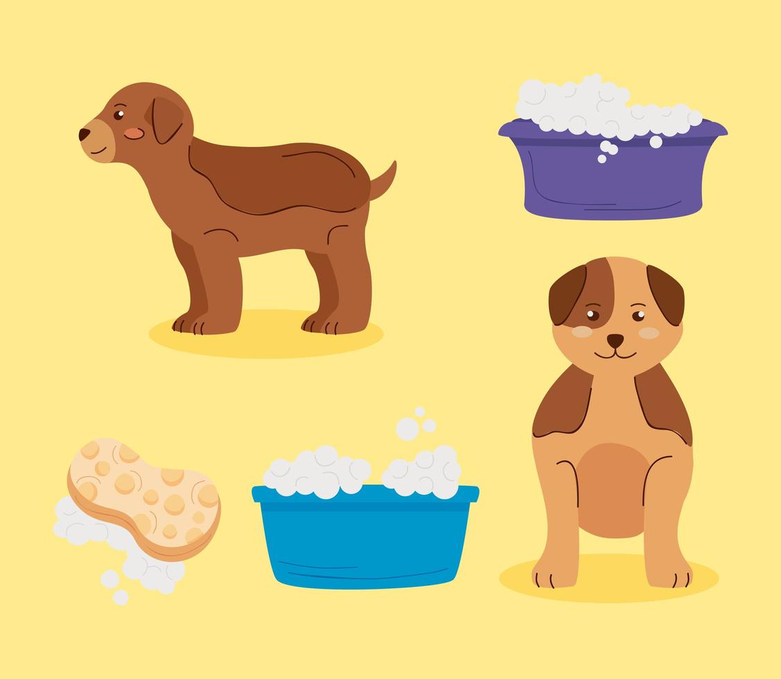 five washing pets icons vector