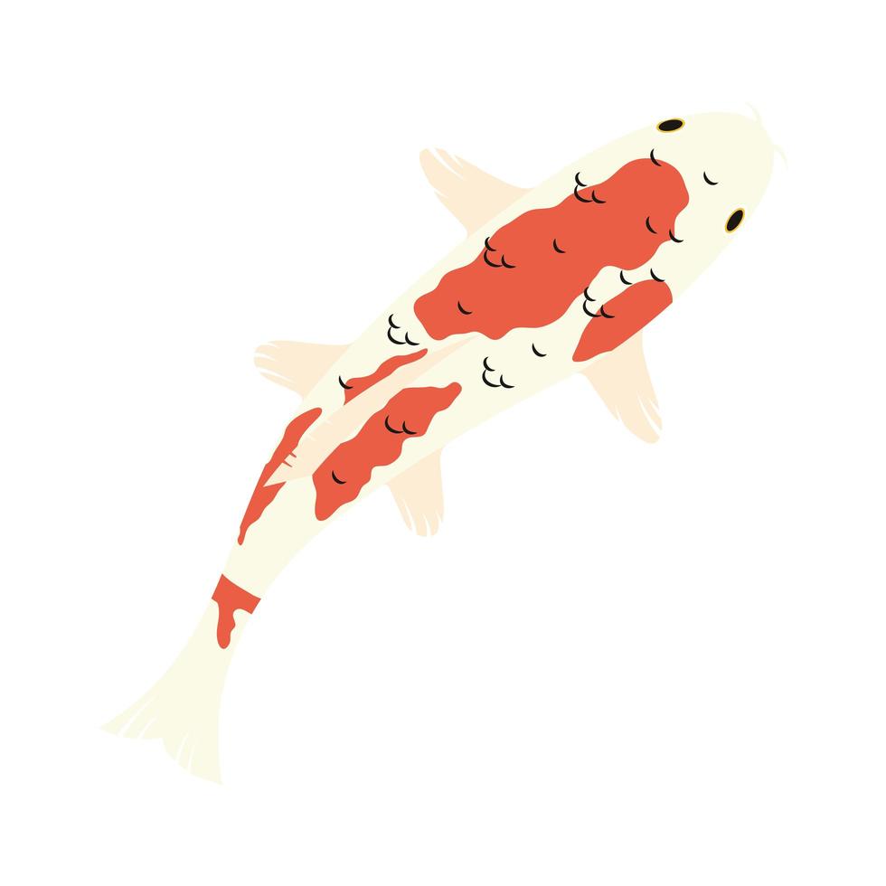 orange and white koi fish vector