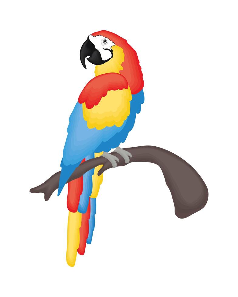 lindo, guacamayo, caricatura vector