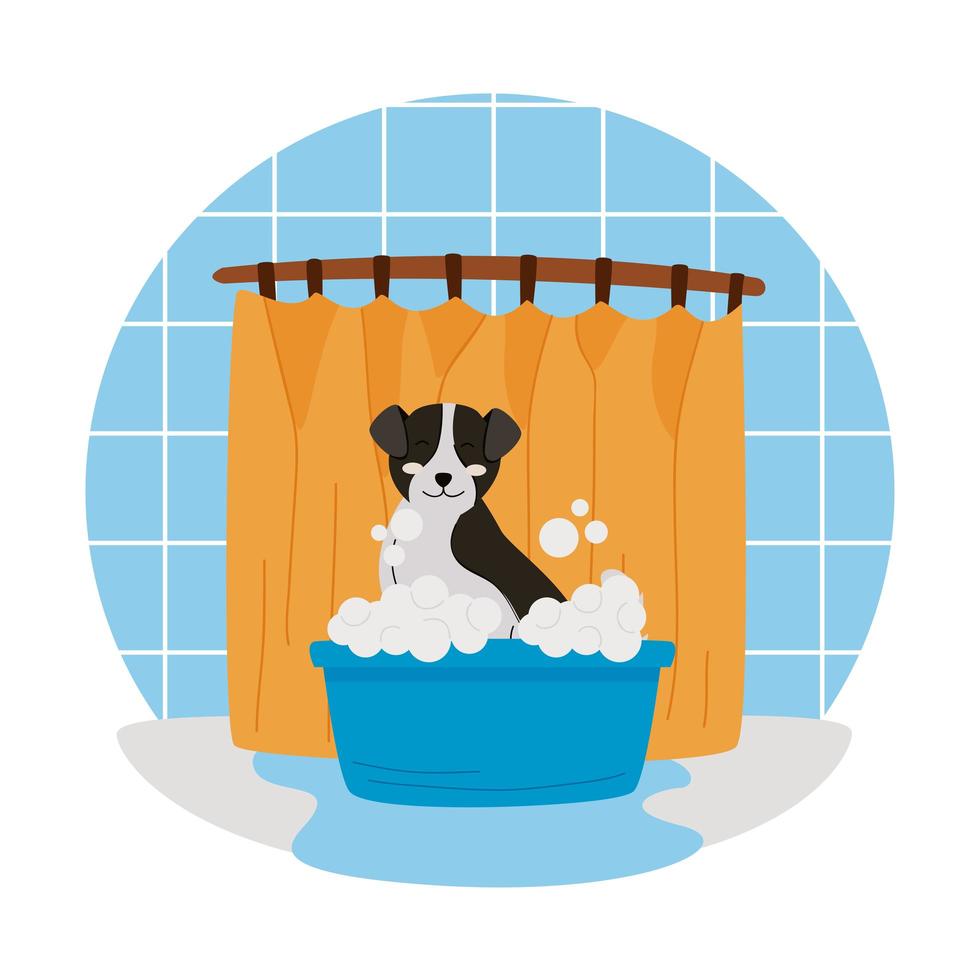 cute pet bathing vector