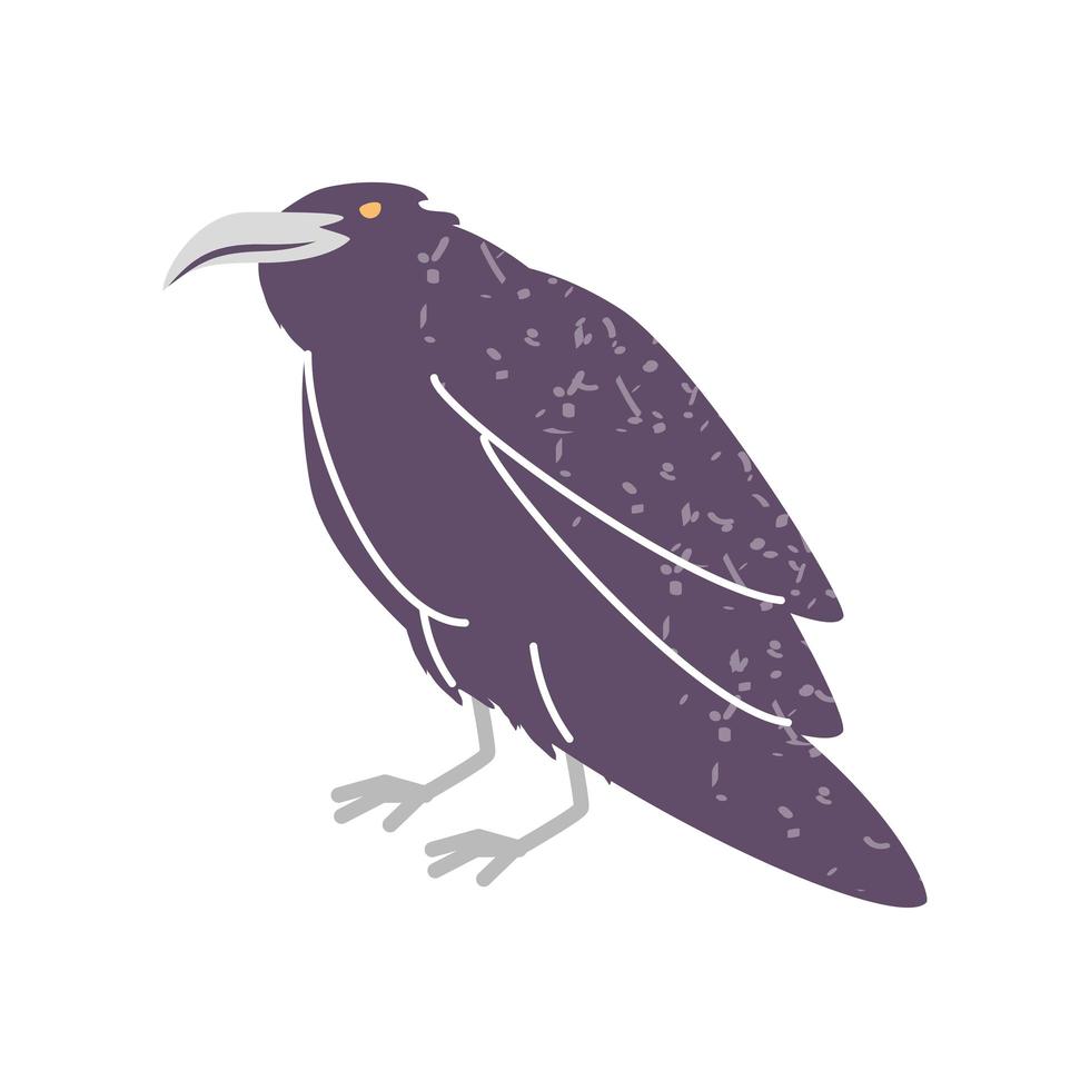 black raven bird vector