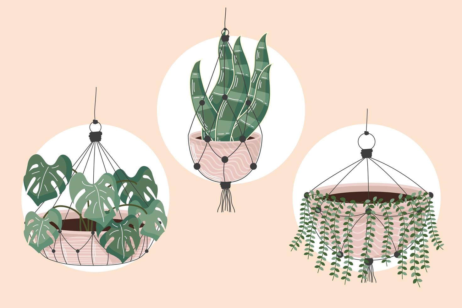 three macrame hangers vector