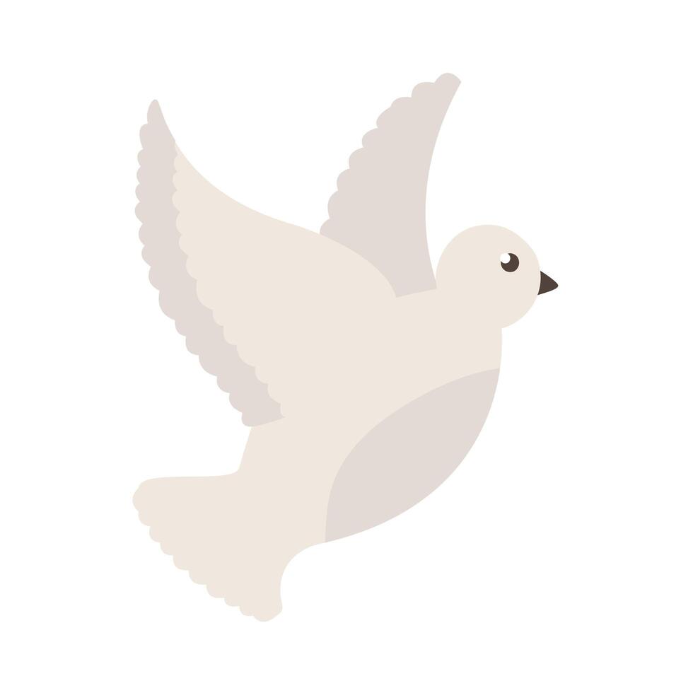 dove bird icon vector