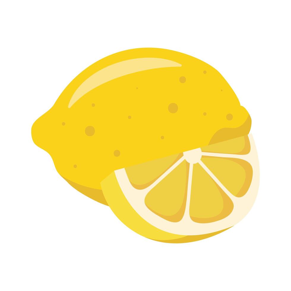 orange citrus fruit vector