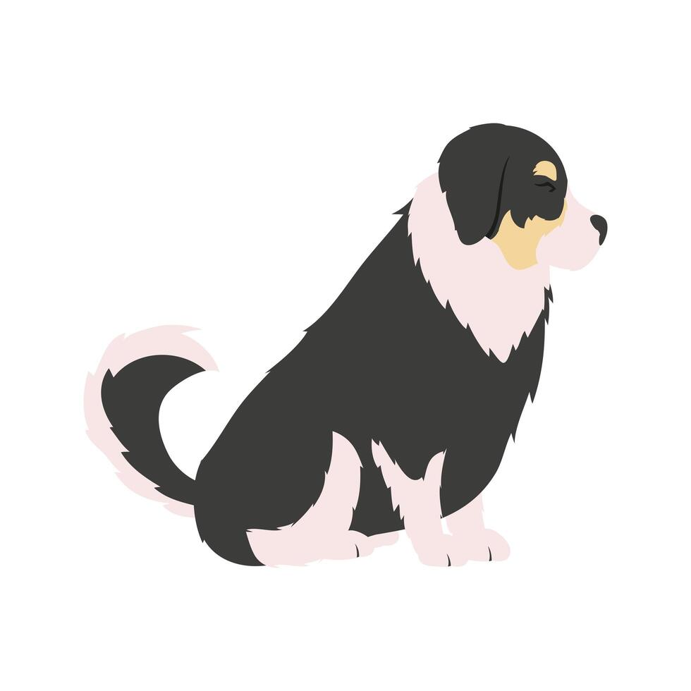 cute bernese mountain dog vector