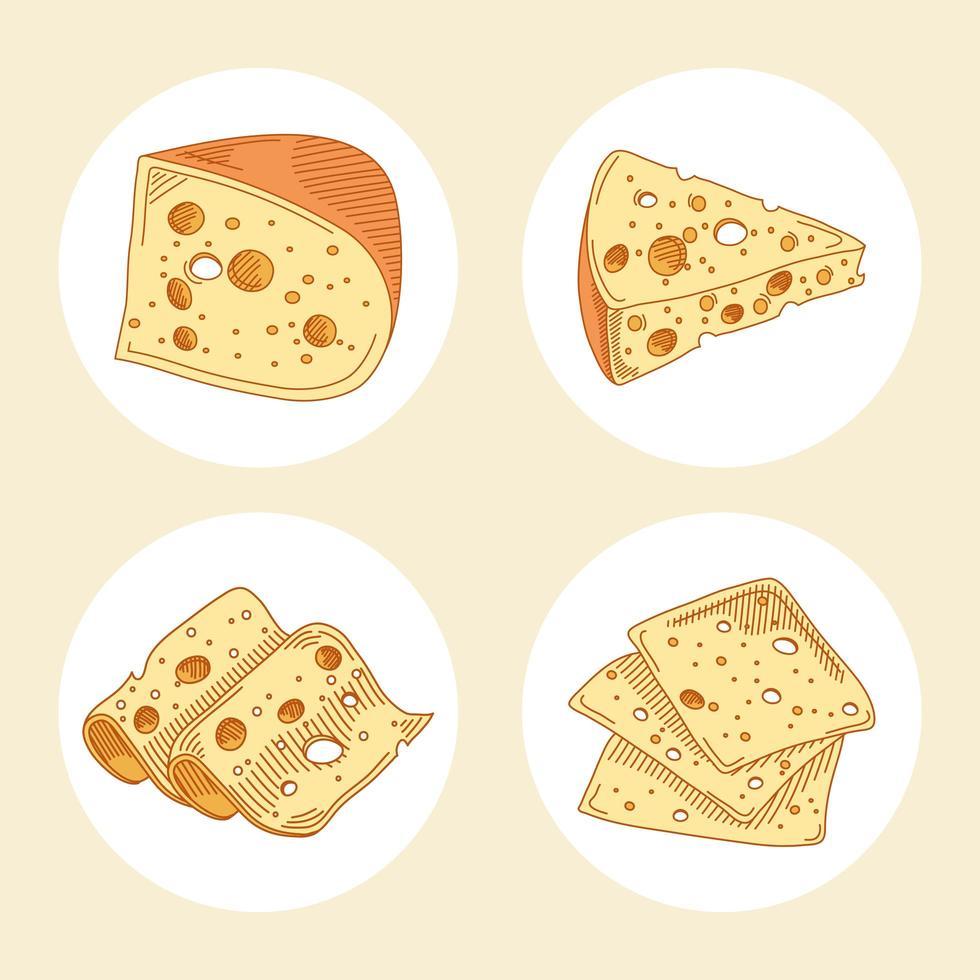 delicious four cheeses vector