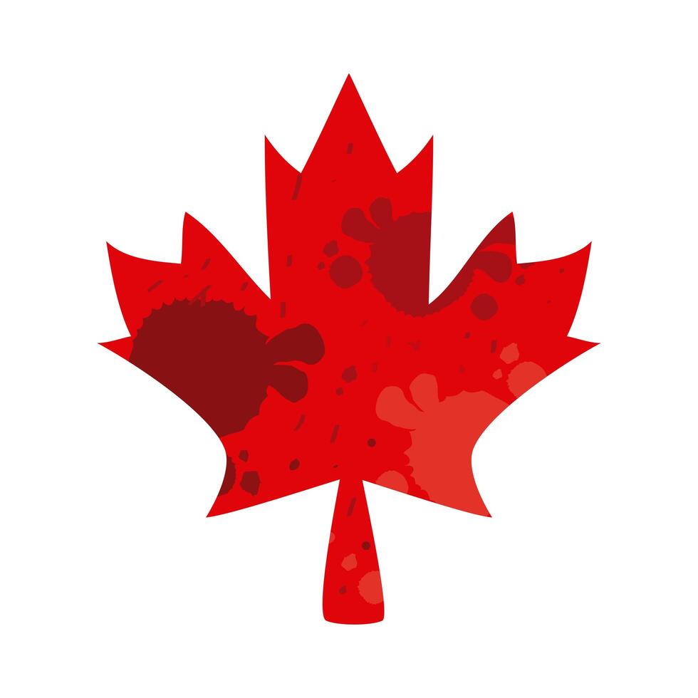red maple leaf vector