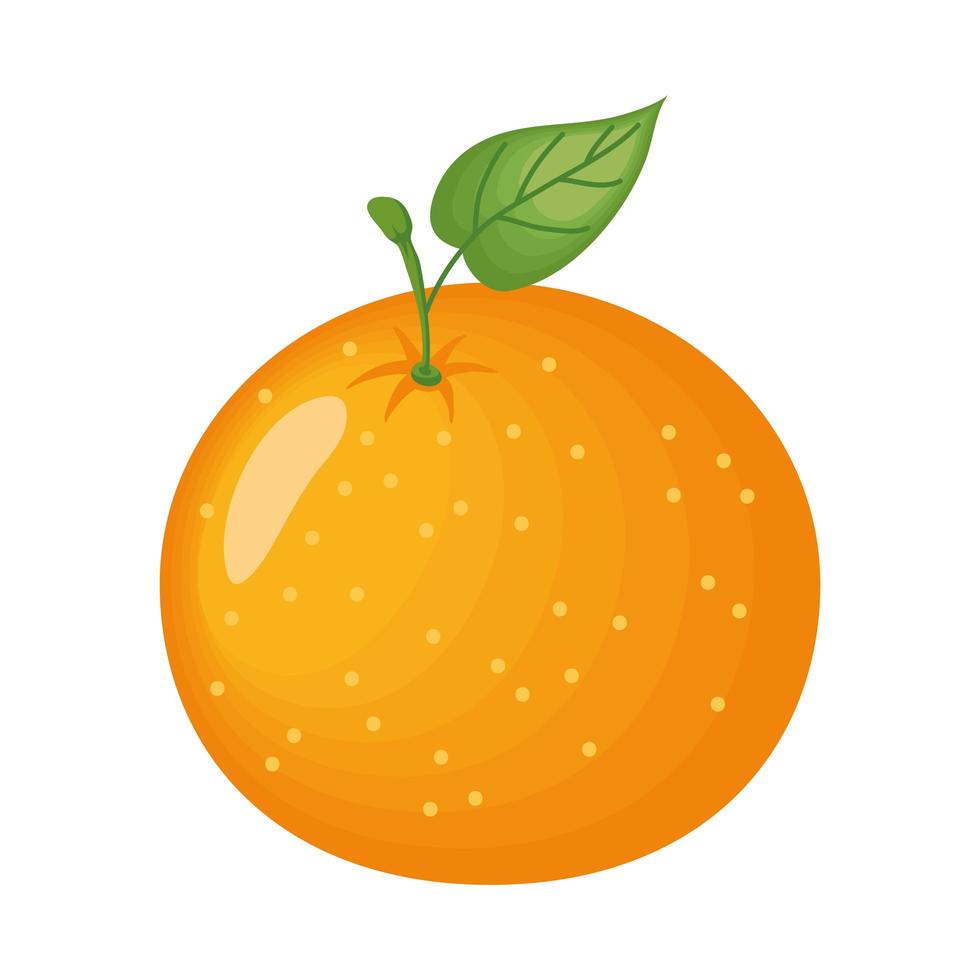fruta naranja aislada vector