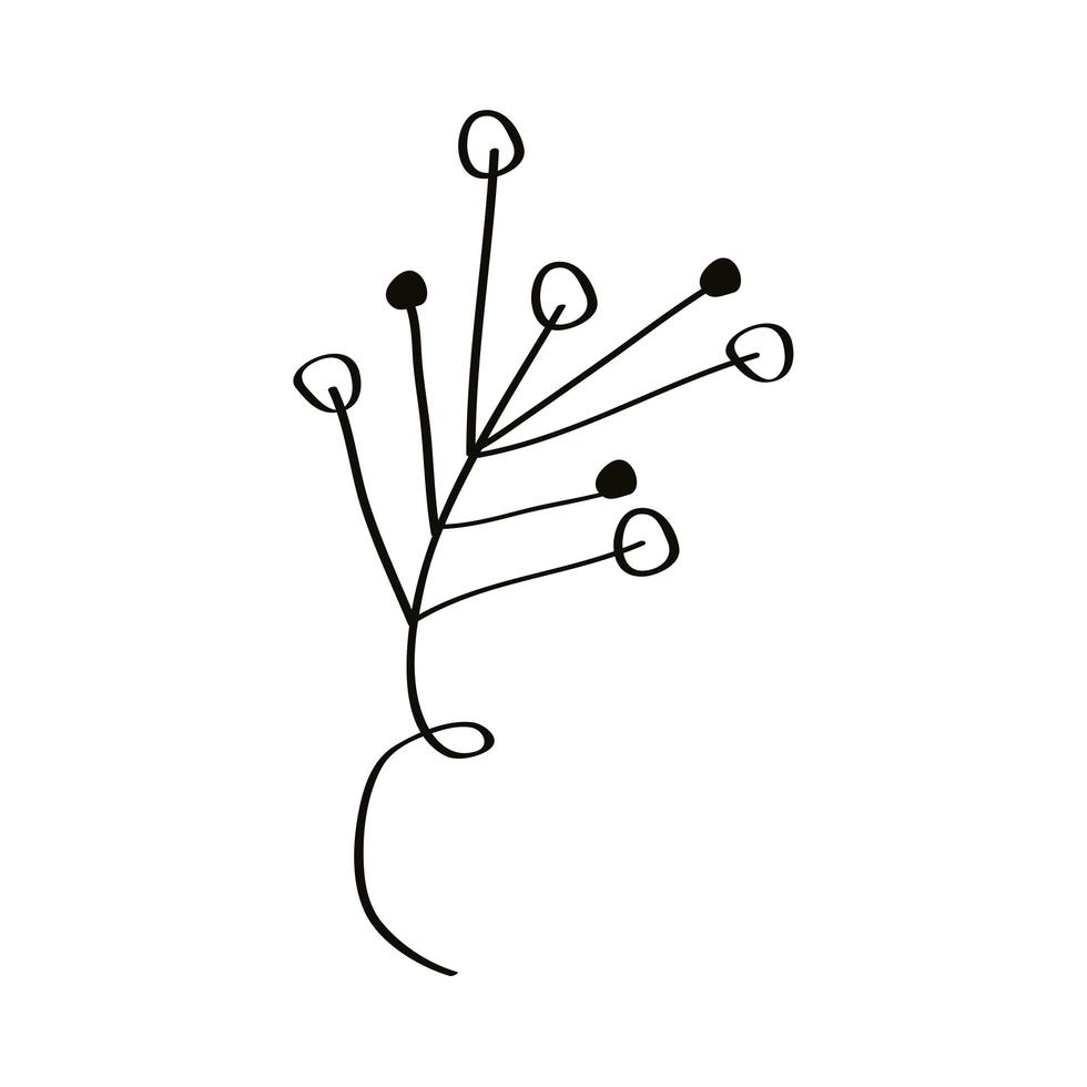 pistils branch sketch vector