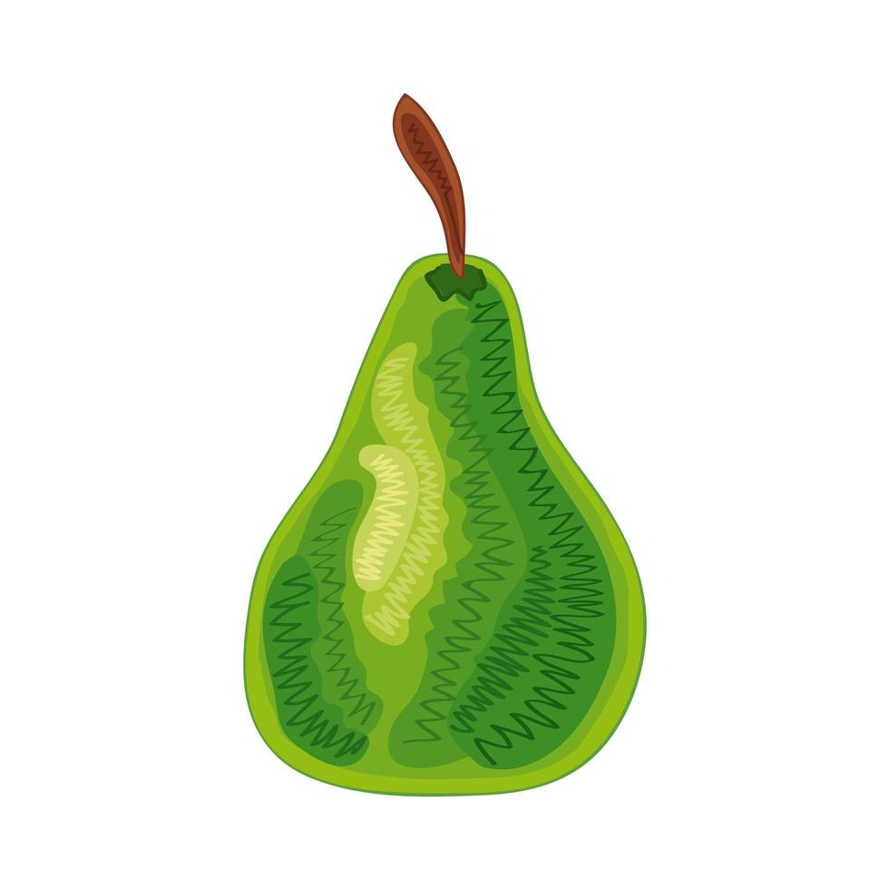 pear fresh fruit vector