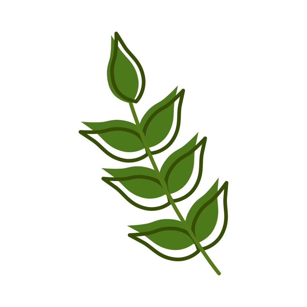 branch with leafs vector