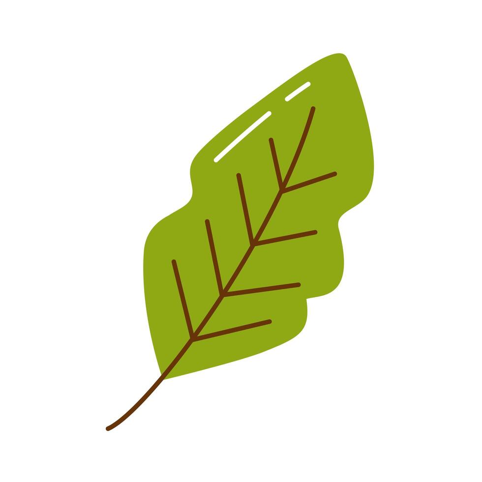 autumn green leave vector