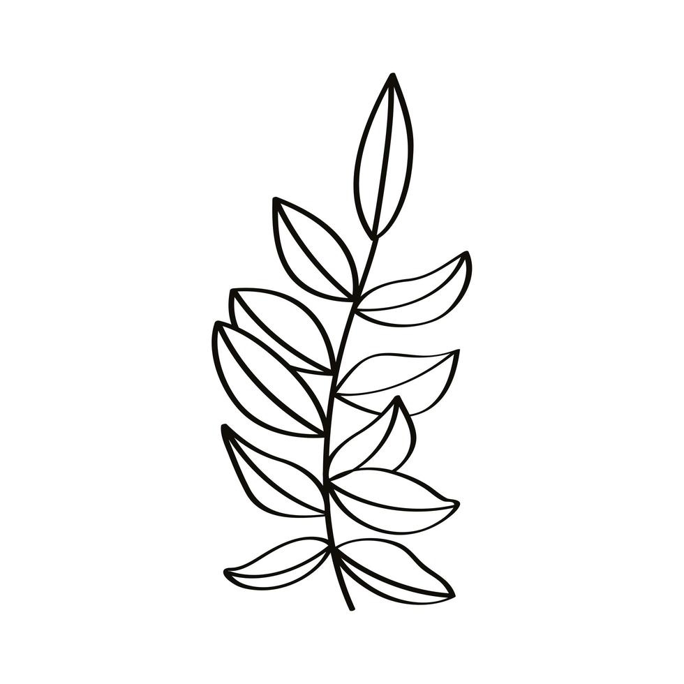 sketch leafs branch vector