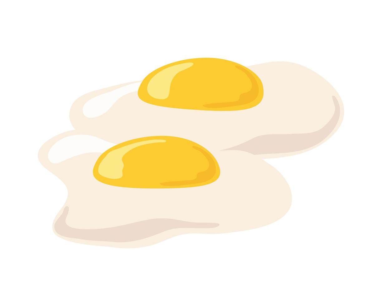 eggs frieds food vector