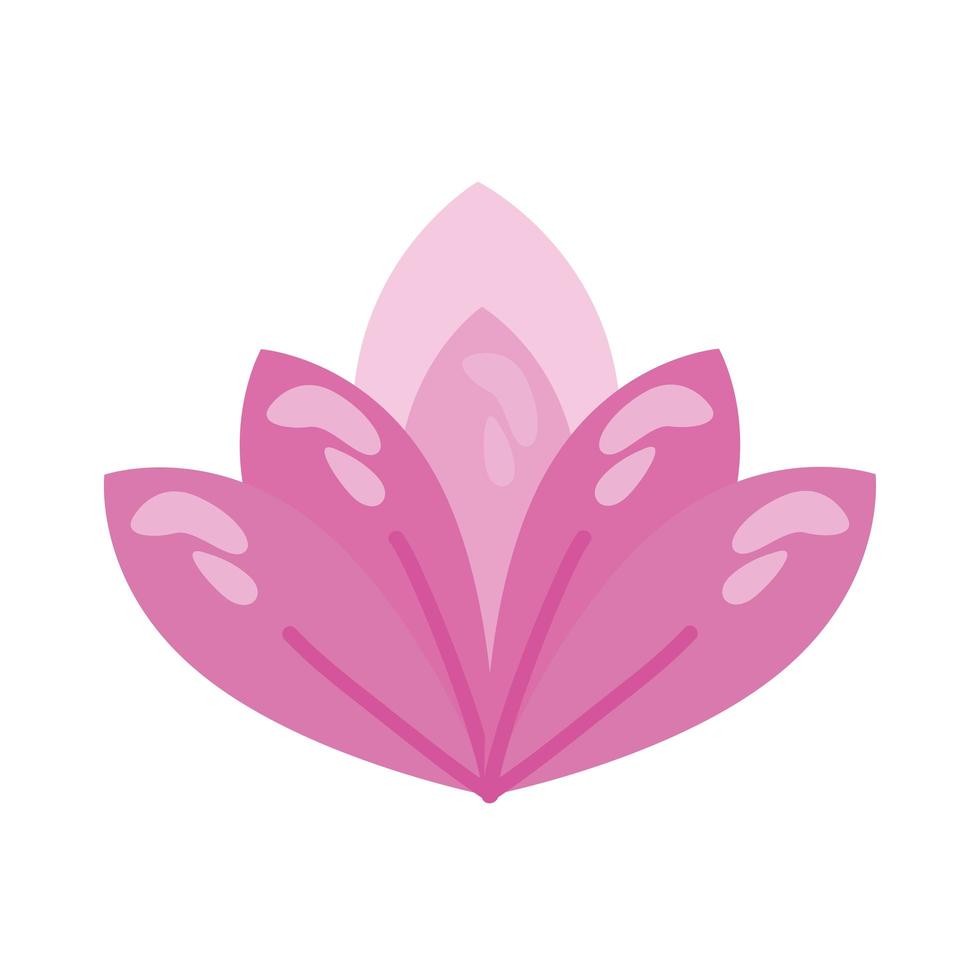 lilac lotus flower vector