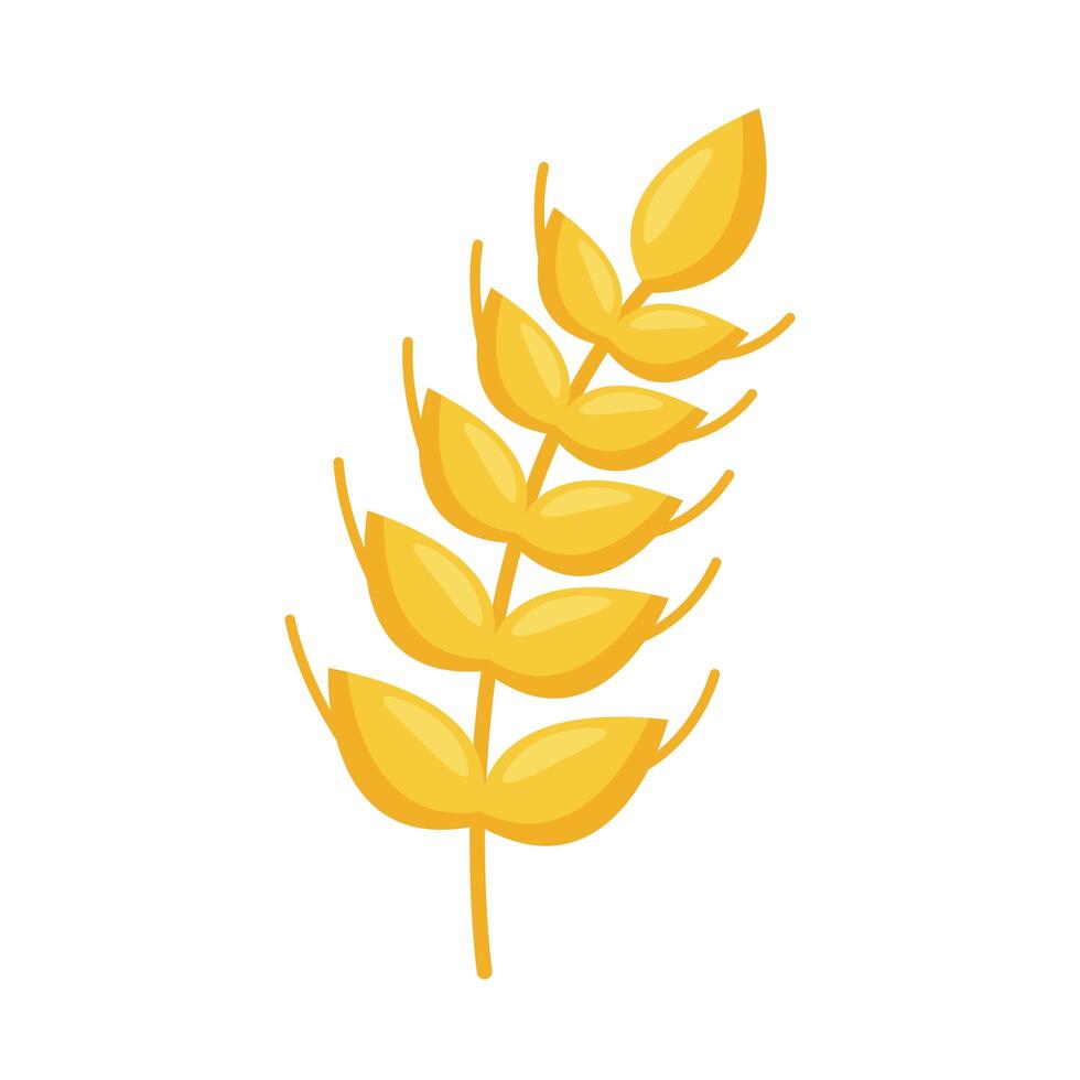 spike wheat icon vector