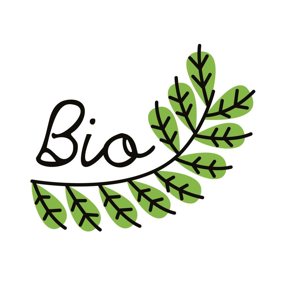 bio leafs plant vector