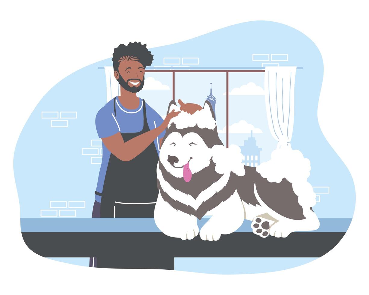 groomer bathing a dog vector