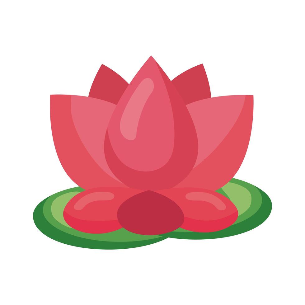 lotus flower floating vector