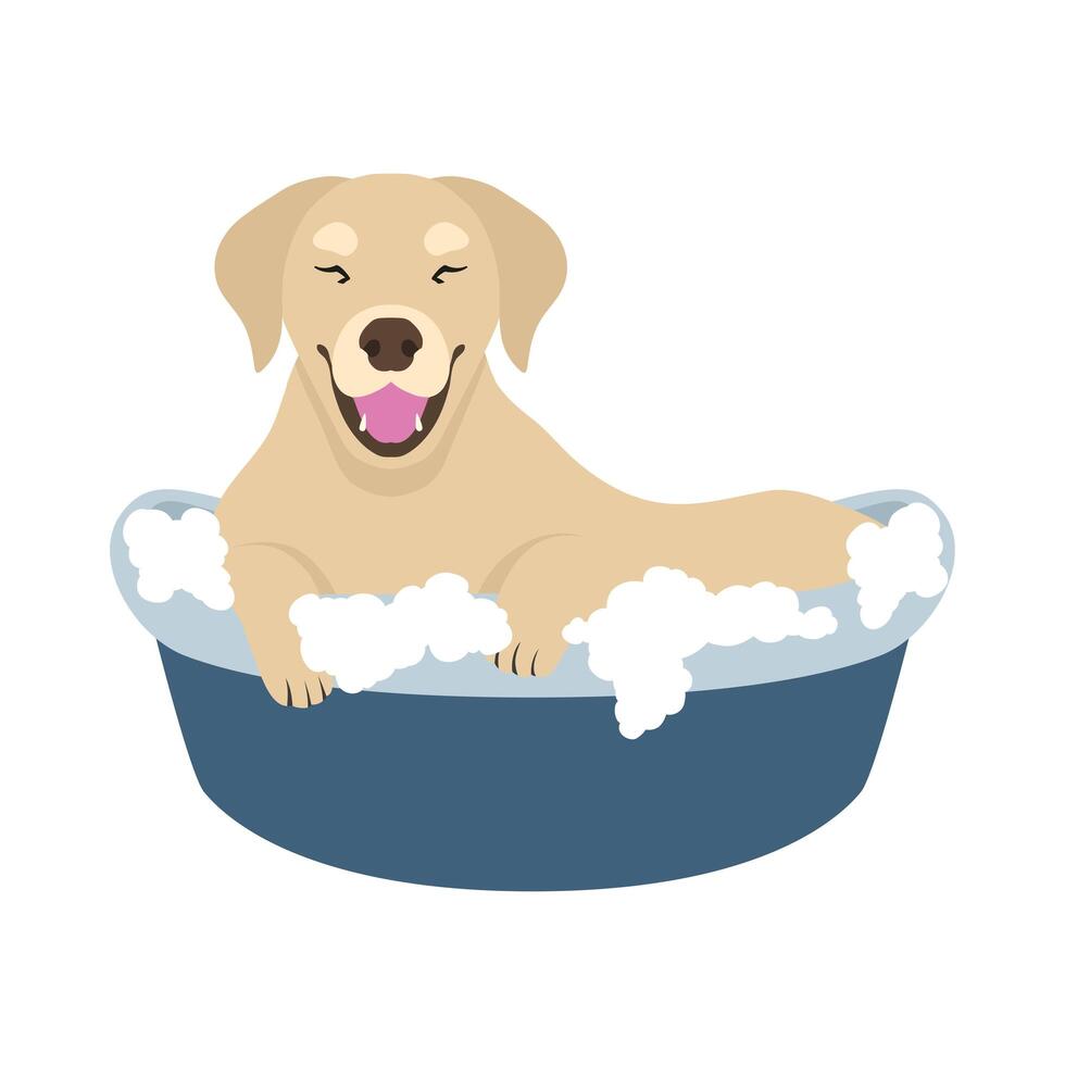 perrito tomando baño vector