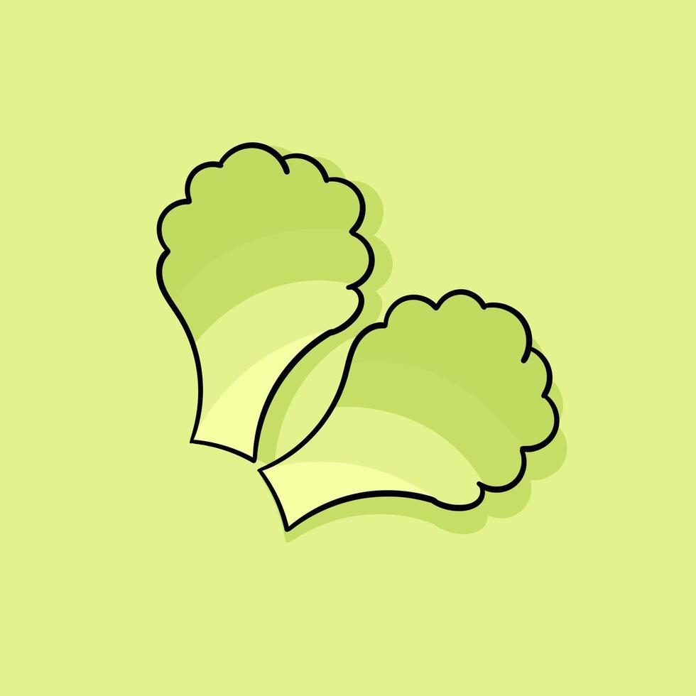 hand drawn illustration of lettuce with a vegetable theme vector