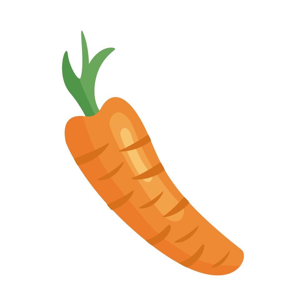 carrot fresh vegetable vector