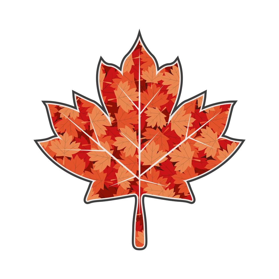 canada maple leafs vector